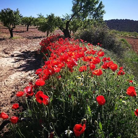 El Sauco Cortijo Los Soledad מראה חיצוני תמונה