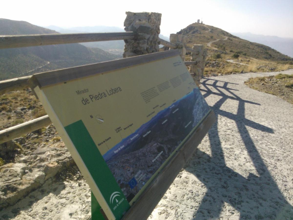 El Sauco Cortijo Los Soledad מראה חיצוני תמונה