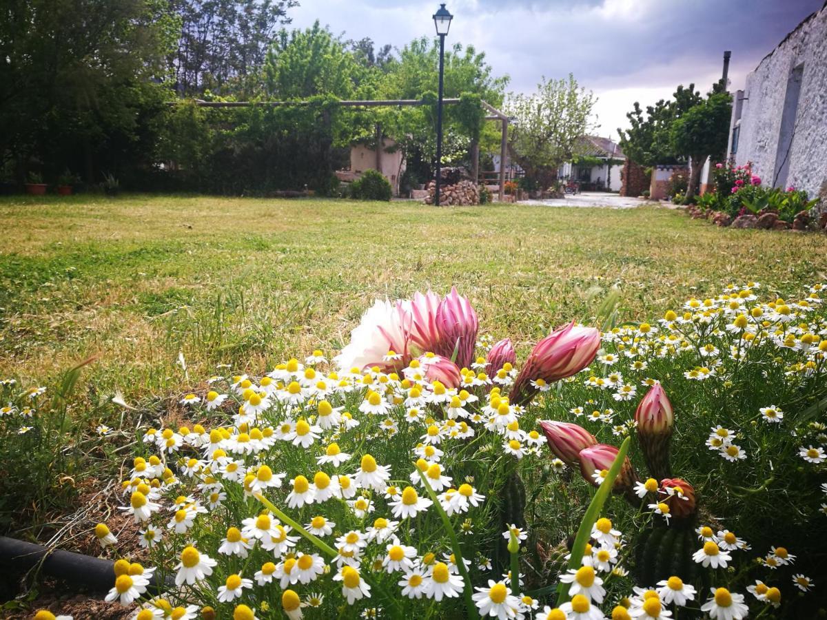El Sauco Cortijo Los Soledad מראה חיצוני תמונה