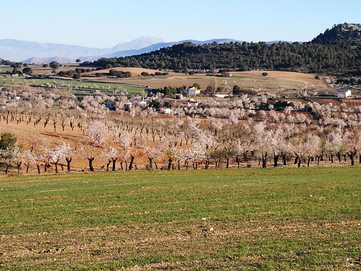 El Sauco Cortijo Los Soledad מראה חיצוני תמונה