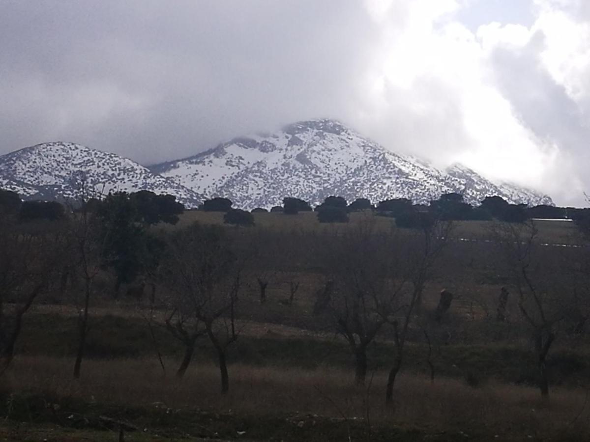 El Sauco Cortijo Los Soledad מראה חיצוני תמונה