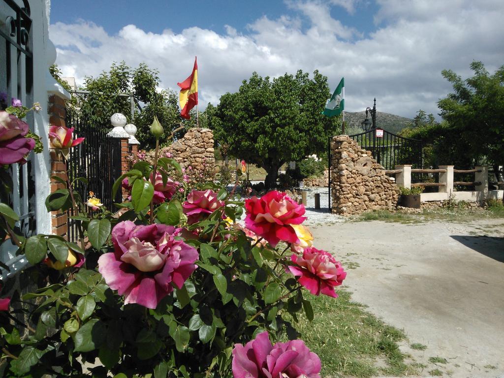 El Sauco Cortijo Los Soledad מראה חיצוני תמונה