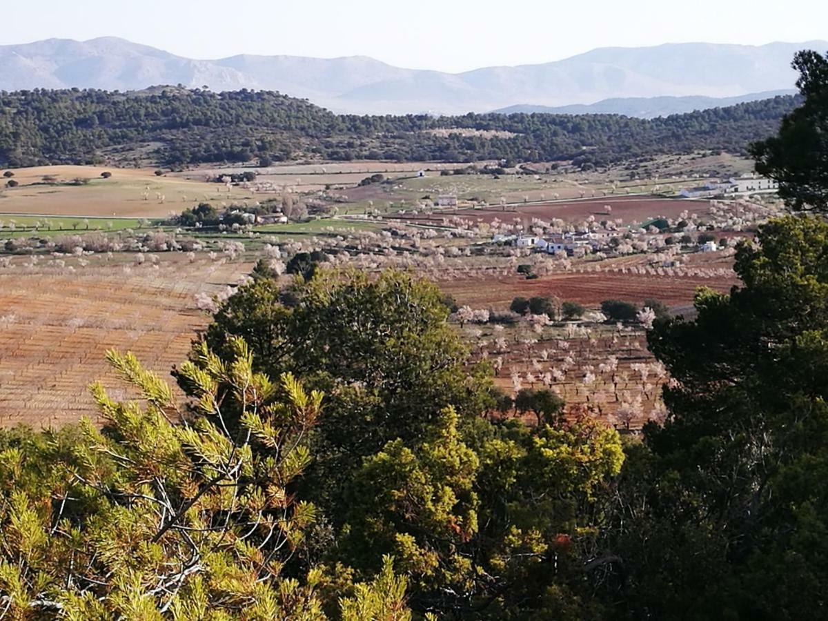 El Sauco Cortijo Los Soledad מראה חיצוני תמונה